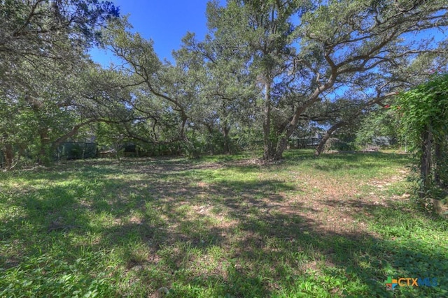 500 Line Camp Loop, Spring Branch, TX 78070 - photo 43