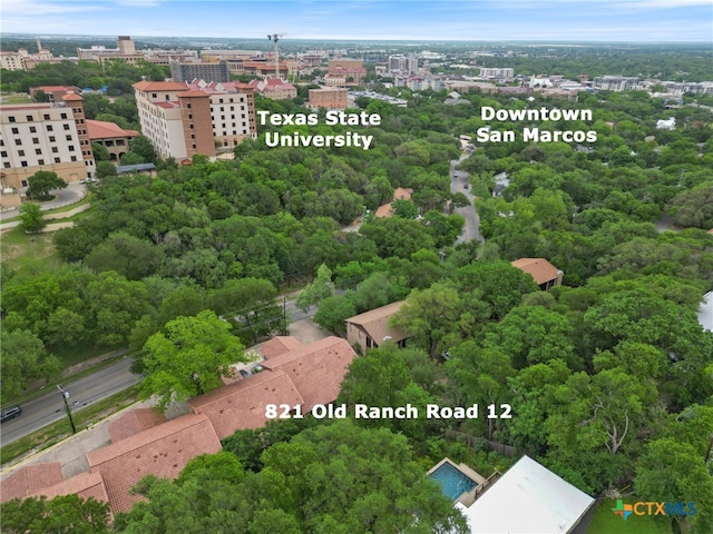 821 Old Ranch Road 12, San Marcos, TX 78666 - bird's eye view