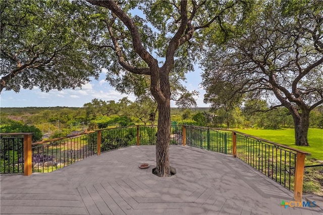 275 Robert Lee Ln, New Braunfels, TX 78132 - photo 32