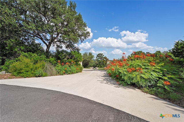 275 Robert Lee Ln, New Braunfels, TX 78132 - photo 4