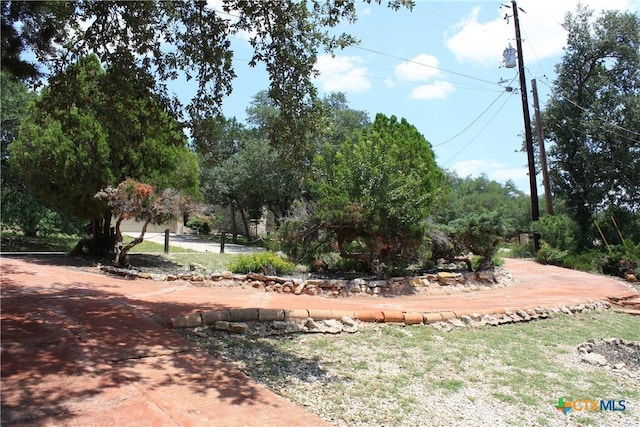 1004 Daviot Dr, Briarcliff, TX 78669 - view of yard