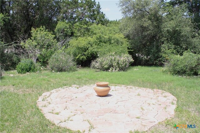 1004 Daviot Dr, Briarcliff, TX 78669 - view of yard with a patio area