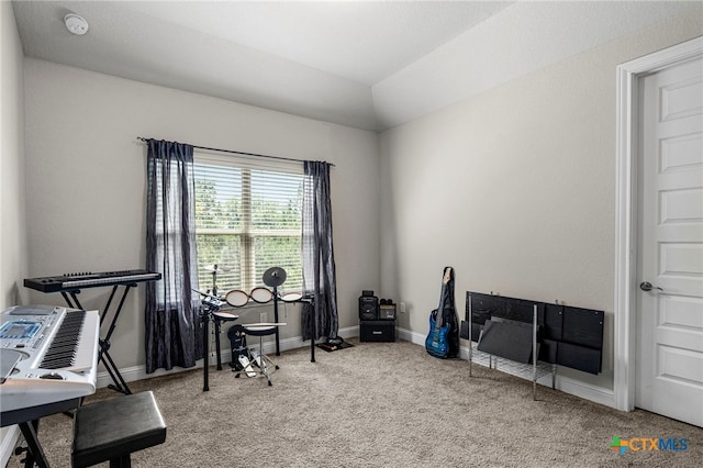 miscellaneous room featuring lofted ceiling and carpet floors