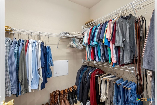 view of walk in closet