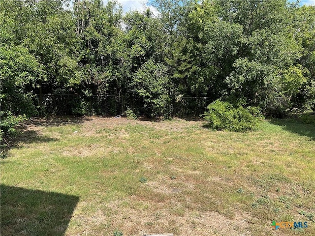 908 S 22nd St, Temple, TX 76501 - view of yard