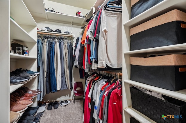 spacious closet featuring carpet flooring