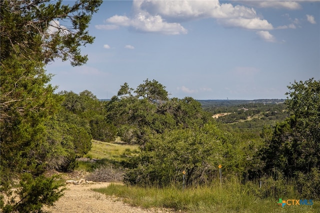 1772 Demi John Bend Rd, Canyon Lake, TX 78133