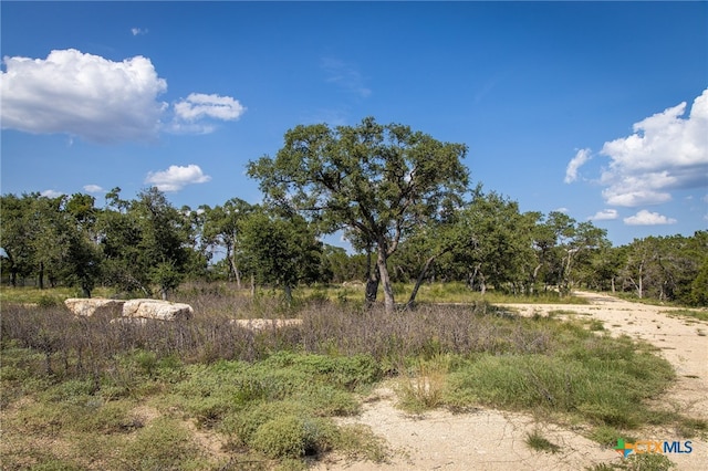 1772 Demi John Bend Rd, Canyon Lake, TX 78133