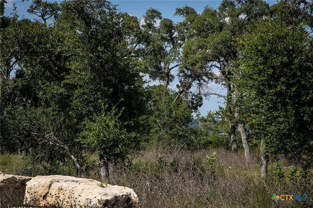 1772 Demi John Bend Rd, Canyon Lake, TX 78133