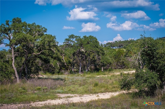 1772 Demi John Bend Rd, Canyon Lake, TX 78133