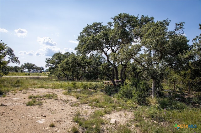 1772 Demi John Bend Rd, Canyon Lake, TX 78133