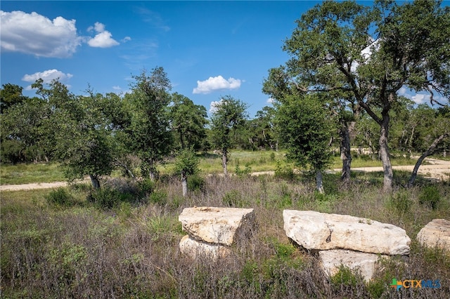 1772 Demi John Bend Rd, Canyon Lake, TX 78133