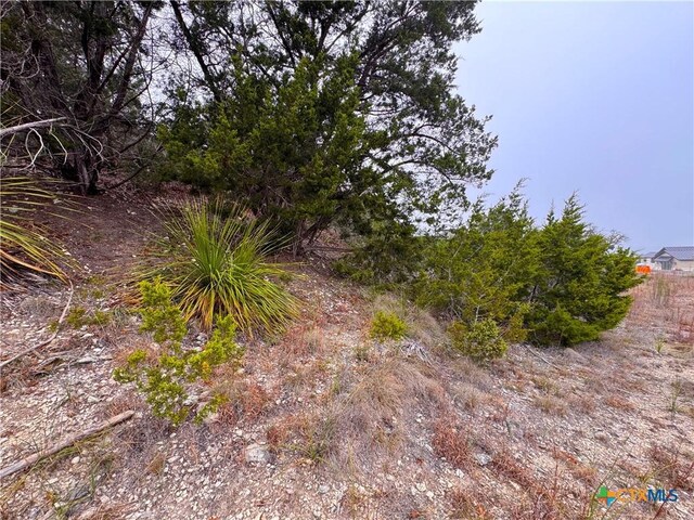 615 Caballo Trl, Canyon Lake, TX 78133 - photo 10
