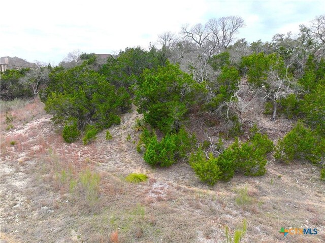 615 Caballo Trl, Canyon Lake, TX 78133 - photo 17