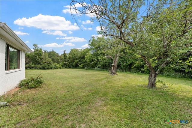 7031 Steinbeck Bend Dr, Waco, TX 76708 - view of green lawn