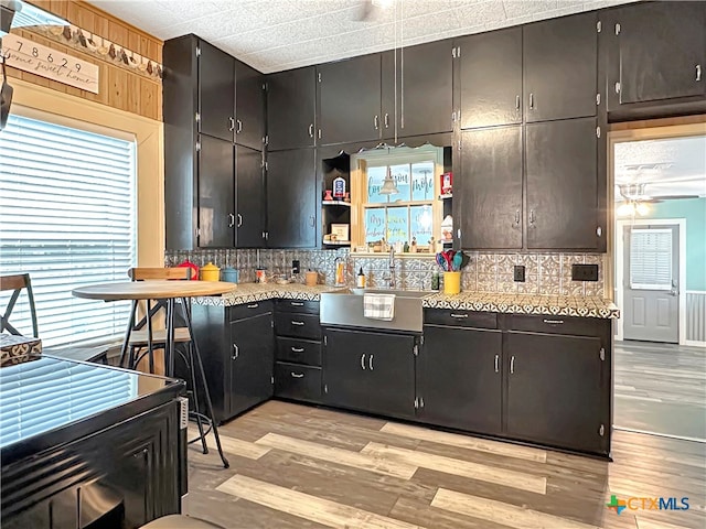 kitchen featuring light hardwood / wood-style floors, sink, and decorative backsplash