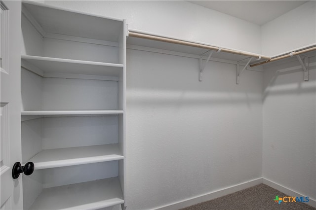 spacious closet featuring carpet