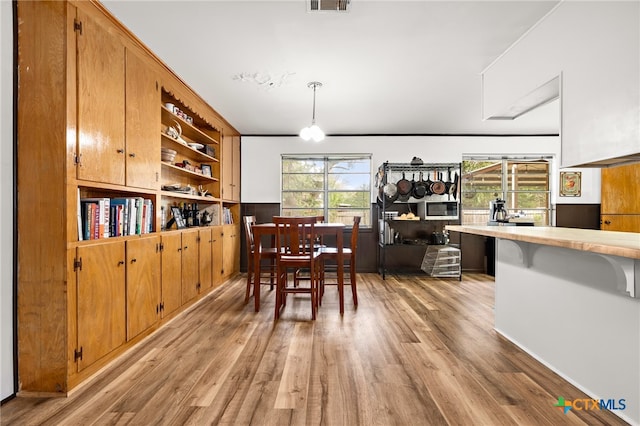 dining space with a healthy amount of sunlight and light hardwood / wood-style floors