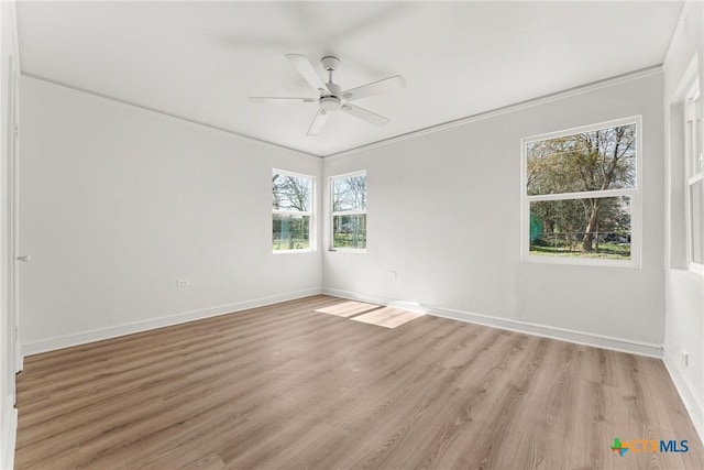 empty room featuring crown molding, ceiling fan, and light hardwood / wood-style flooring