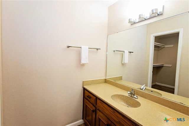 4020 River Oaks Cir, Temple, TX 76504 - bathroom featuring wood-type flooring and vanity