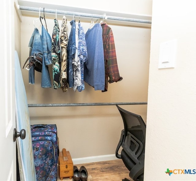 spacious closet featuring wood-type flooring