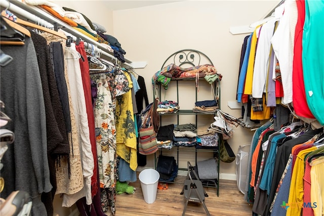 walk in closet featuring hardwood / wood-style flooring