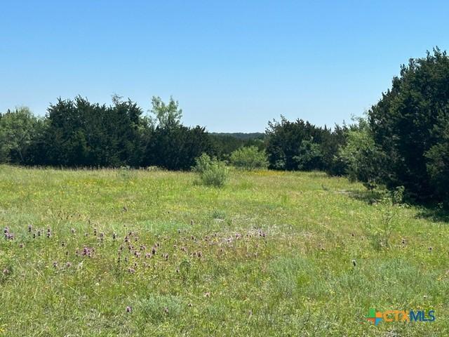 103 High View Ln, Lampasas, TX 76550 - photo 6