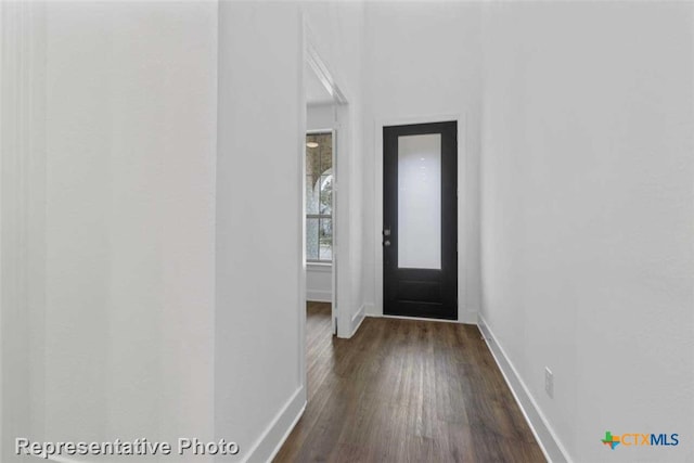 foyer entrance featuring dark hardwood / wood-style flooring