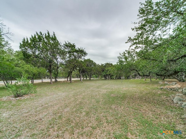 1777 Crossbow Dr, Canyon Lake, TX 78133 - view of yard
