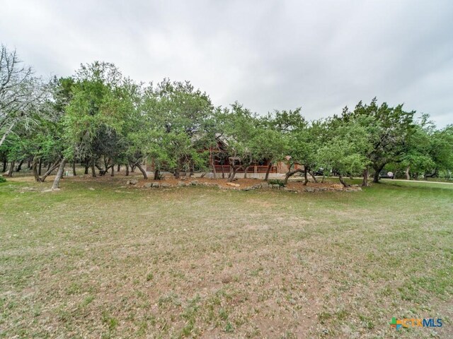 1777 Crossbow Dr, Canyon Lake, TX 78133 - view of yard