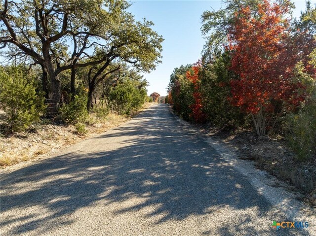 7550 County Road 142, Gatesville, TX 76528 - photo 4