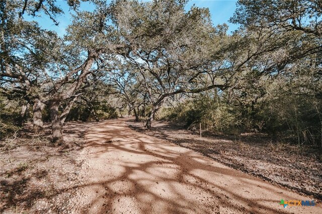 TractE Vitek Lane, Inez, TX 77968 - photo 8