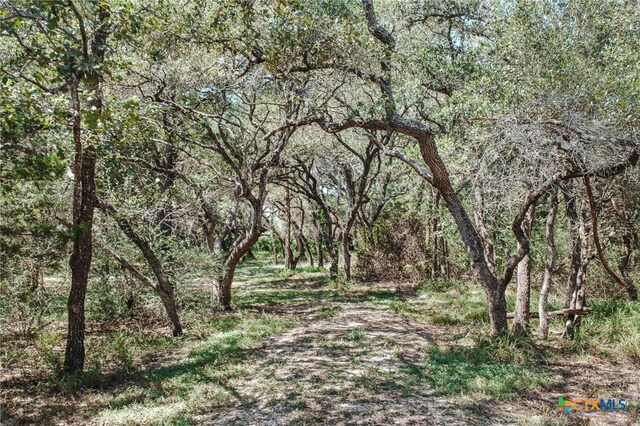 TractE Vitek Lane, Inez, TX 77968 - photo 16
