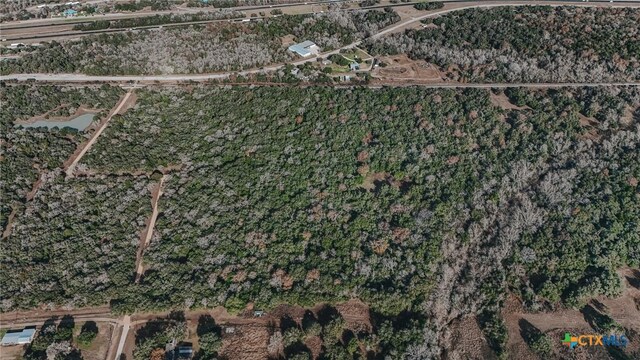 TractE Vitek Lane, Inez, TX 77968 - photo 17