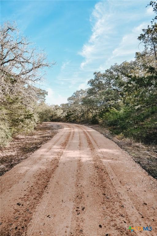 TractE Vitek Lane, Inez, TX 77968 - photo 6