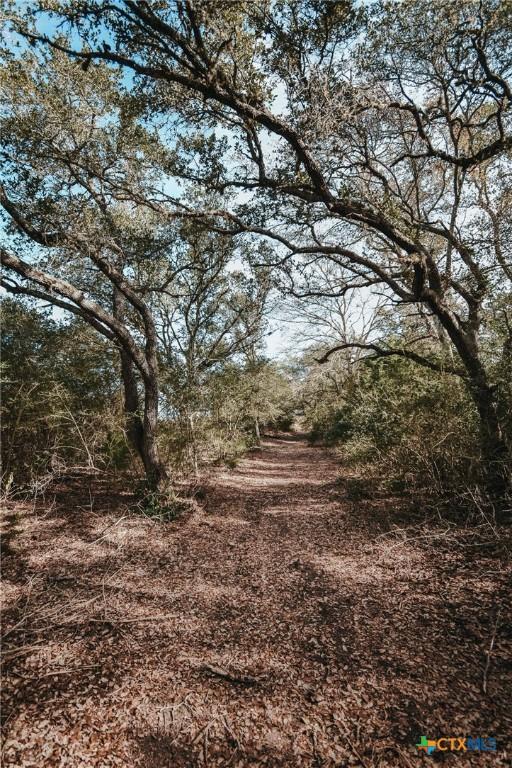 TractE Vitek Lane, Inez, TX 77968 - photo 13