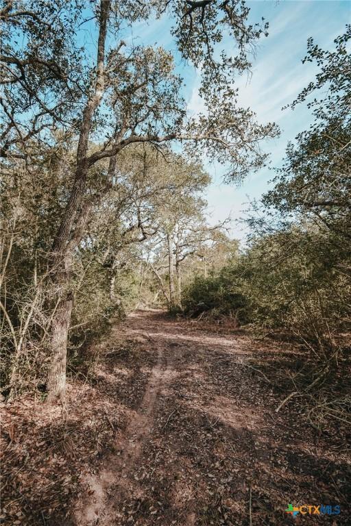 TractE Vitek Lane, Inez, TX 77968 - photo 10