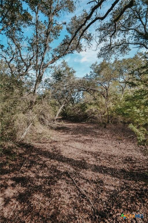 TractE Vitek Lane, Inez, TX 77968 - photo 12