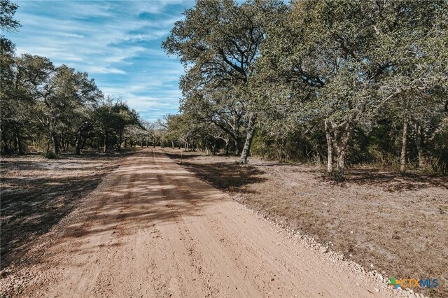 TractE Vitek Lane, Inez, TX 77968 - photo 4