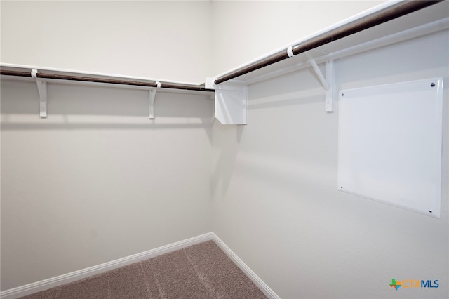 217 Alcatraz Loop, Jarrell, TX 76537 - spacious closet with carpet floors