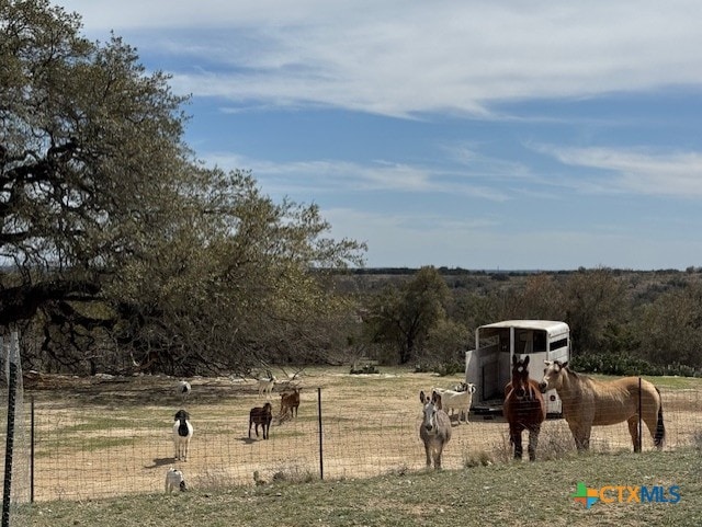 view of yard with a rural view