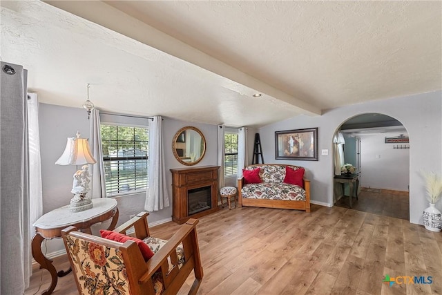 living room with lofted ceiling with beams, a healthy amount of sunlight, a textured ceiling, and light wood-type flooring