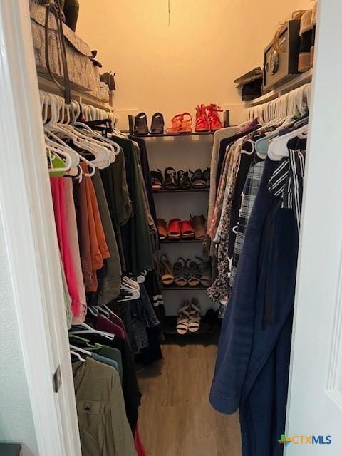 spacious closet featuring wood-type flooring