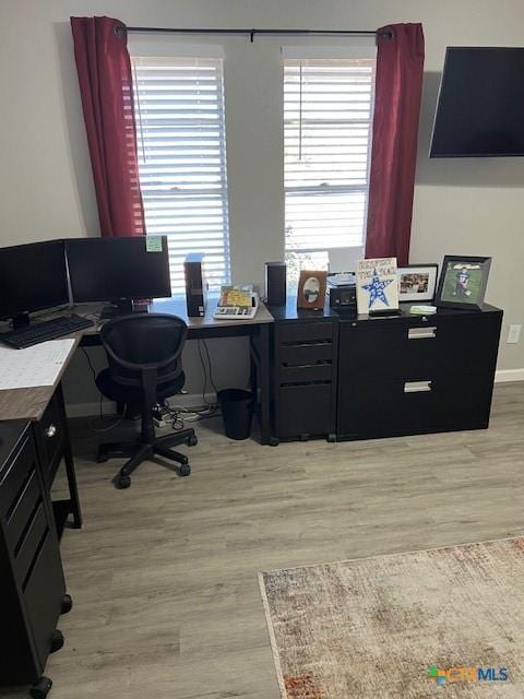 office space featuring a healthy amount of sunlight and light hardwood / wood-style floors