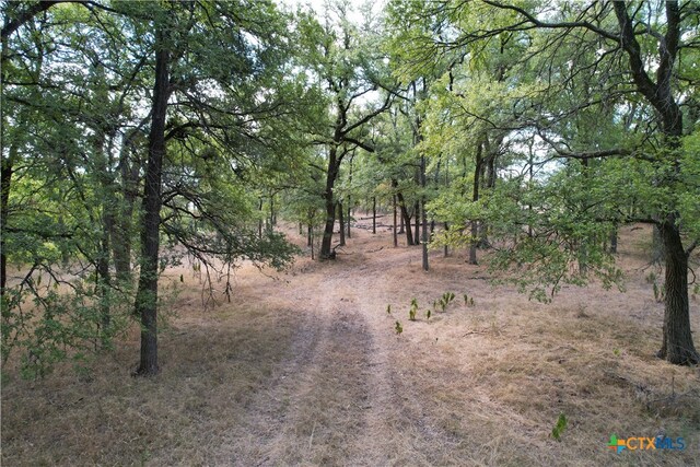 Listing photo 3 for TBD Rosanky Rd, Holland TX 76534