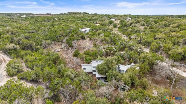 bird's eye view with a view of trees