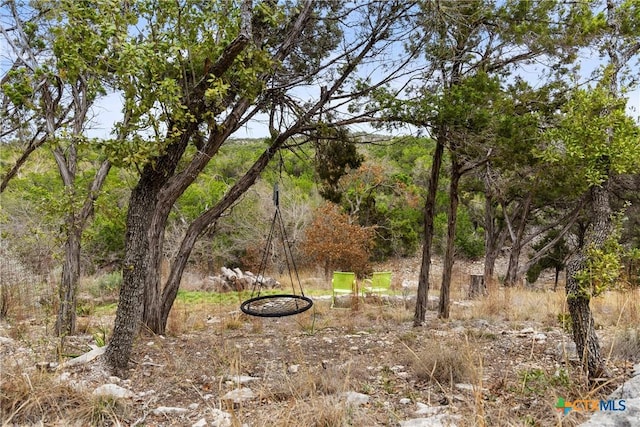 view of local wilderness