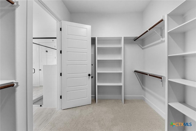 spacious closet with carpet flooring