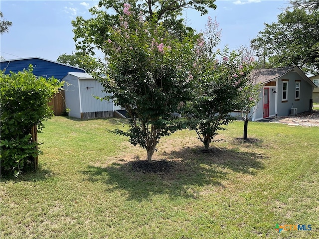 201 Sycamore, Tow, TX 78672 - view of green lawn featuring a shed and an outdoor structure
