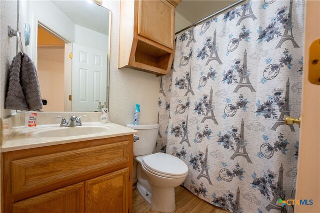 bathroom featuring vanity, hardwood / wood-style flooring, and toilet